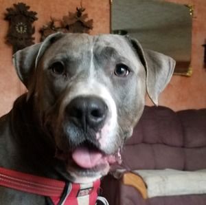 Meet your Posher, Shawn